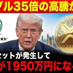 【リップル速報】XRP35倍の高騰が確定🔥金融リセットが発生してBTCが1950万円になる理由【仮想通貨 最新 情報】