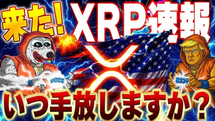 🔥XRPリップル爆上げ🔥【間違えると危険⚠️】期待の銘柄は？#xrp #リップル #仮想通貨 #暗号資産