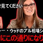 下半期の答えが出ました。ビットコインはもう「ここまで」行くでしょう。