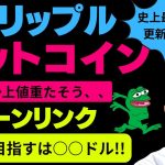 🚀やばいリップル史上最高値更新か🚀ビットコインは上値思い？チェーンリンクは○○ドルに注目！