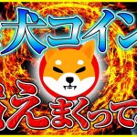 【柴犬コイン バーン】なぜ今、注目されているのか？価格への影響は？