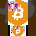 【2025年8月第3週: 暗号資産積立結果】週でもイーサリアム爆上げ！まさかのビットコイン