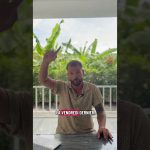 Bullrun Crypto 2025 : Ethereum franchit son ATH, Bitcoin en bas du range, dominance en chute ! 🚀