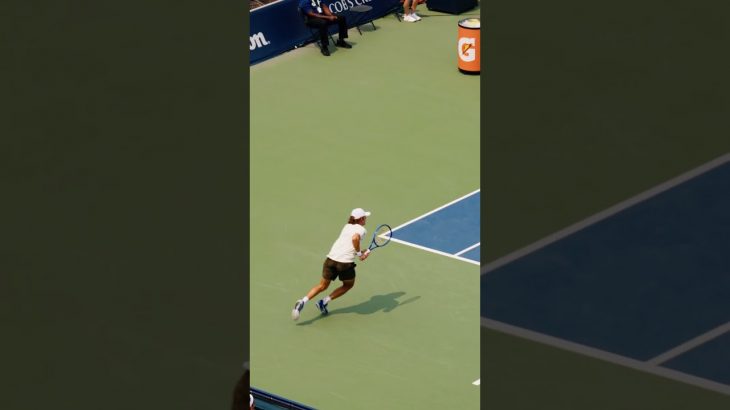 Speedy De Minaur (In Slow Motion) 😈