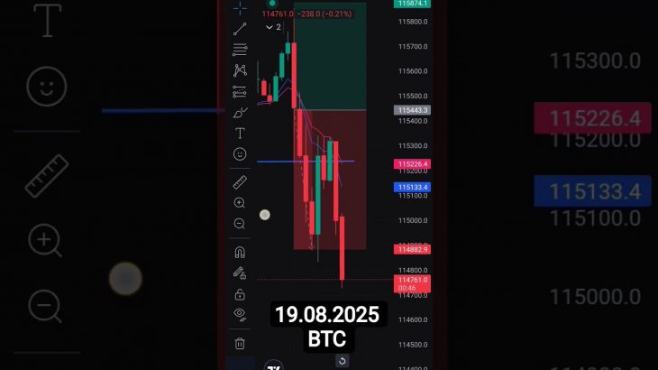 😭😭The Big Bitcoin Crash 😭😭