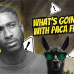 Why is Paca Finance Paused Again? #pacafinance #defi Crypto #cryptocurrency #passiveincome #staking