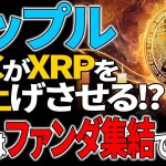 【リップル(XRP)】SECがXRP爆上げの為にETF承認を調整！？〇月のファンダ集結月に承認か！？【仮想通貨】