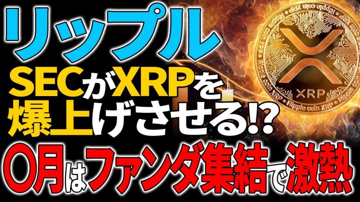 【リップル(XRP)】SECがXRP爆上げの為にETF承認を調整！？〇月のファンダ集結月に承認か！？【仮想通貨】