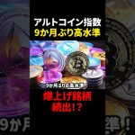 【仮想通貨】アルトコイン9ヶ月ぶりの高水準！爆上げ銘柄続出か？！