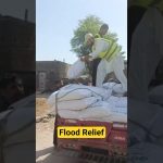 Food For Animals | Flood Relief In Mandi Bahauddin | Rana Moshin PP-41 | Naeem Chattha Team #shorts