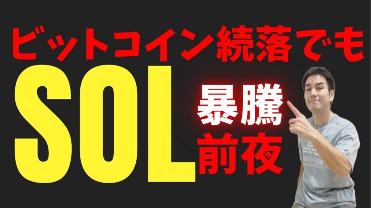【週明け注目】ビットコイン続落でもソラナは強気！週足から今週の展望を徹底分析