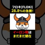 【フロキ】イーロン砲炸裂！1時間でFLOKI28.8%爆上げ！