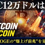 BTC12万ドルはまだ序章！次に爆上げが来る「本命アルト」はXRPとDOGEだ！【10月最新相場分析】