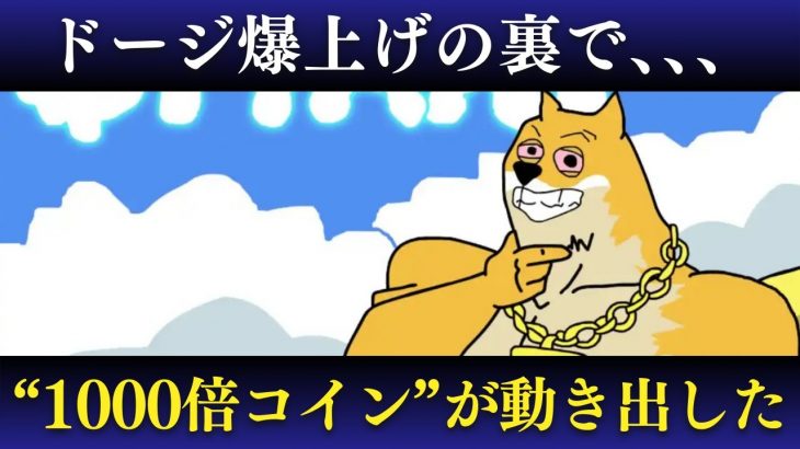 【DOGE爆上げの裏側】ETF承認とクジラ参入で次の“1000倍銘柄”が始動！今注目すべきミームコインとは？