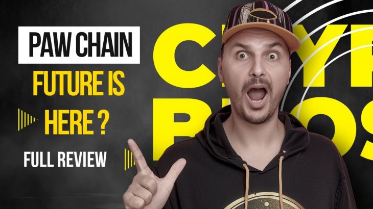 PAW Chain Review – Experience Faster, Safer & More Scalable DeFi!