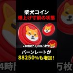 【柴犬コイン（SHIB）】バーンレート88250%増加！？爆上げ寸前？！