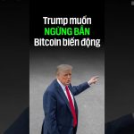 Trump mong muốn ngừng bắn. Bitcoin biến động mạnh