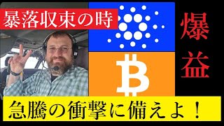 【隠居Vlog】仮想通貨暴落から反転急騰！巨大利益はブラックロック！ADA/BTC