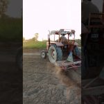 #song for you viral video YouTube channel Mohsin jutt