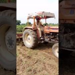 #song #punjabisong #foryo viral video YouTube channel Mohsin jutt