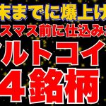 【アルトコイン】クリスマス前に仕込みたい注目の銘柄4選を紹介