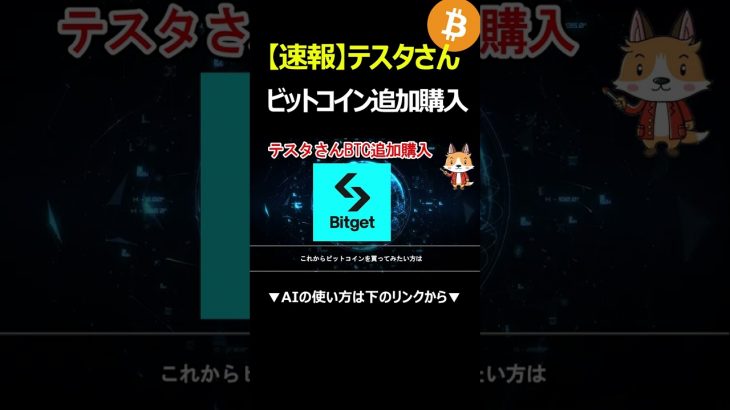 【速報】テスタさん、ビットコインを追加購入！総額7.37BTCに…！ #BTC #Bitcoin #Bitget #メタプラネット #暗号資産 #仮想通貨 #投資 #web3 #お金 #shorts