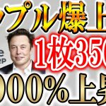 【リップルETFが成功!!】次の爆上げ銘柄はSUI？【XRP/ビットコイン】