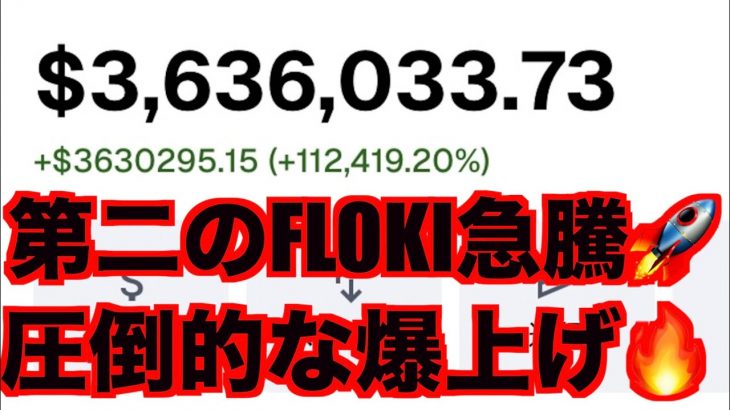 第二のFLOKI急騰的中しました‼️注目Rコイン.Sコイン爆上げ狙う🔥🚀🌕