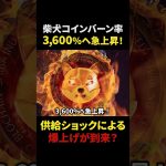 【柴犬コイン（SHIB）】バーンレート3600%アップ！供給減で爆上げ！？