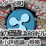 【リップル,XRP 爆上げ予測】XRPは「依然として大幅に過小評価」されている！Bayberry Capitalが衝撃の分析。本当の価値はいくらか？