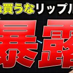 【リップル社長が暴露】〇〇は買うな【仮想通貨】【ビットコイン】