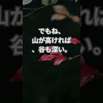 株もゴールドも暗号資産も爆上げ！でも、油断すると大変なことになります