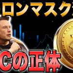 【DOGE】議論再燃必至の発言、どうなる！？年末の仮想通貨市場【BTC】【ビットコイン】【XRP】【リップル】【ETH】【ソラナ】【SOL】【ETF】